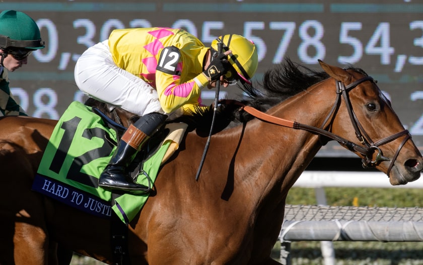Breeders’ Cup 2025 - News, Results And Entries | Daily Racing Form